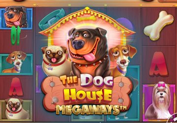 Слот The Dog House Megaways в казино Алго
